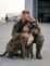 The 47-Day Promise: Left Behind in Kabul, a Loyal Pit Bull Never Stopped Waiting for His Brother