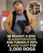 From Slaughter to Sanctuary: The Man Who Saved 2,000 Lives