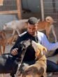 More Than Compassion: Why Loving Animals is the Ultimate Recognition of Life’s Value