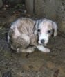 Left in the Cold: The Heartbreaking Image of a Forgotten Soul That Will Break Your Heart
