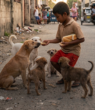 The Boy Who Shared His Last Meal: A Heartbreaking Story That Is Touching Millions Around the World